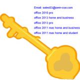 Office 2013 Professional Key, OEM Product Key Code
